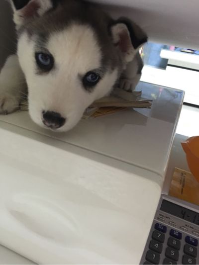 窗帘量尺安装窗帘安装