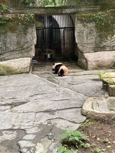 无