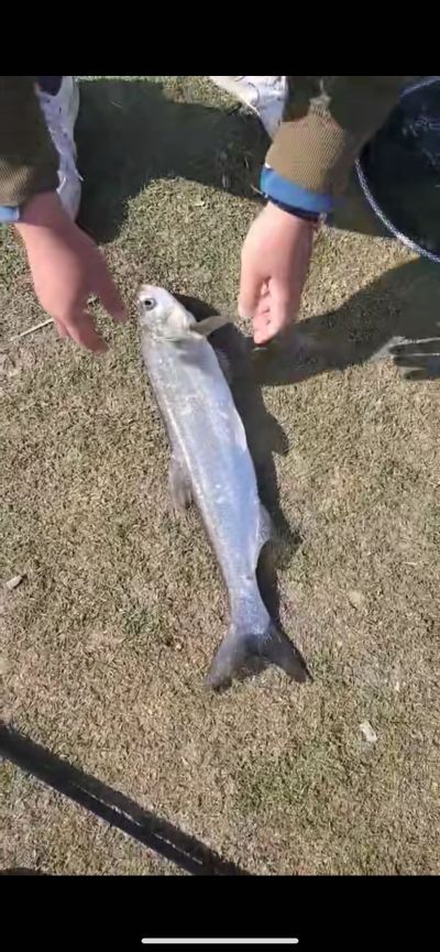 木工