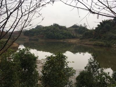 按装灯饰厨卫