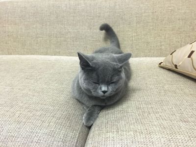 安装维修