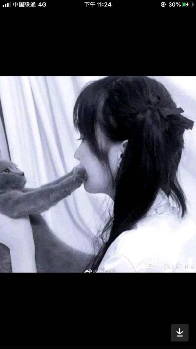 工程管理