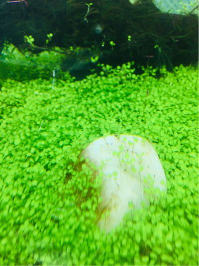 电脑水电暖