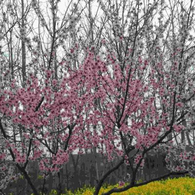 电焊安装电焊氩弧焊室内安装弱电连接