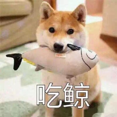 平面设计类