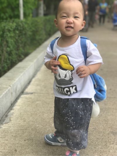 各组装类产品