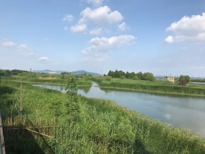 数码