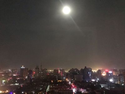 家无