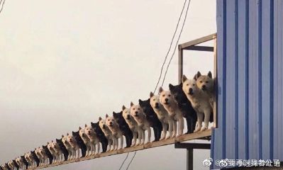 无