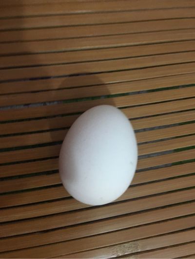 锁头锁头