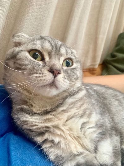 设计