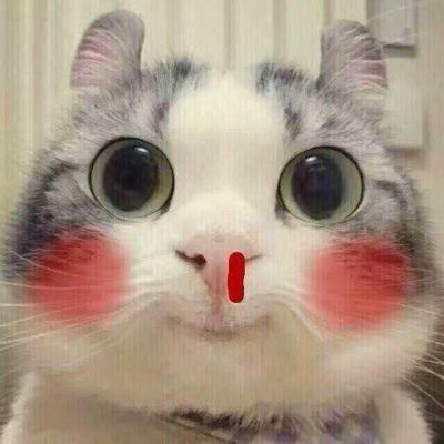 网络工程师