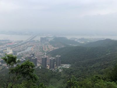 鞋底清洁机