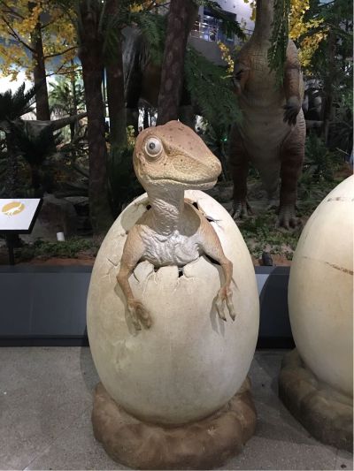 装修