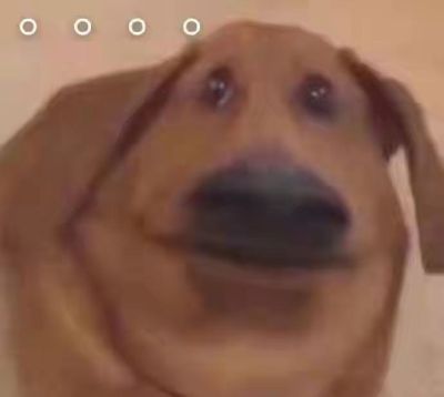集成系统