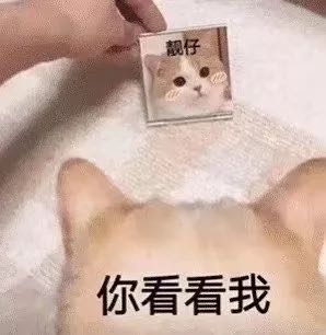 卫浴
