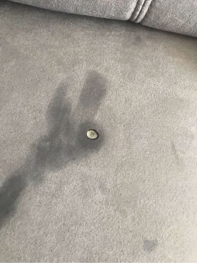 无维修沙发