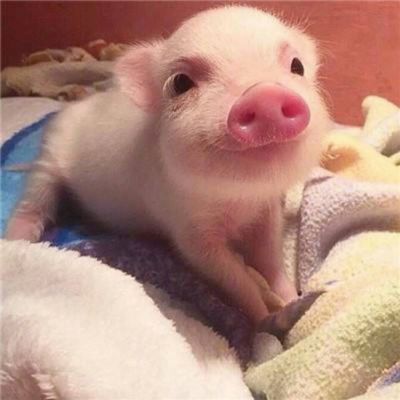 焊接