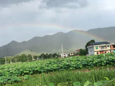 水电安装维修水电安装维修水电维修安装