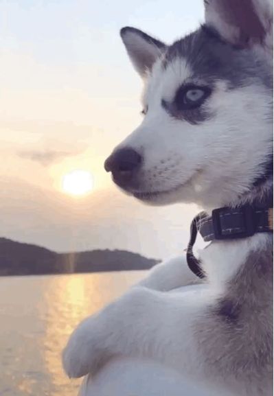 弱电门禁监控弱电智能化