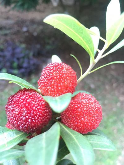 弱电水电水电维修安装网络维修安装