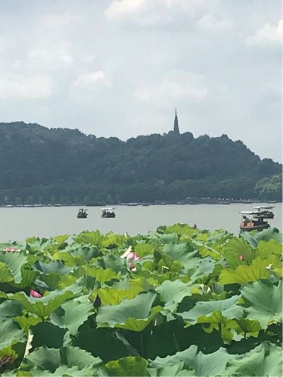 拆除砸墙瓦工