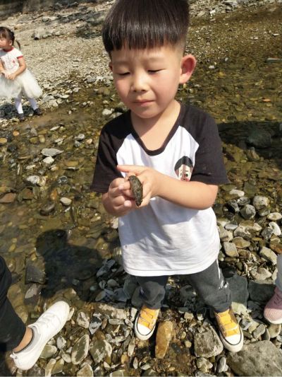 家电卫浴安装