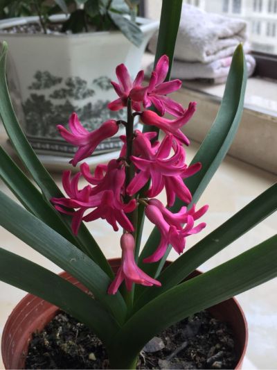 指纹锁灯具灯具安装