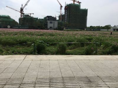 墙砖地砖砌墙装修工