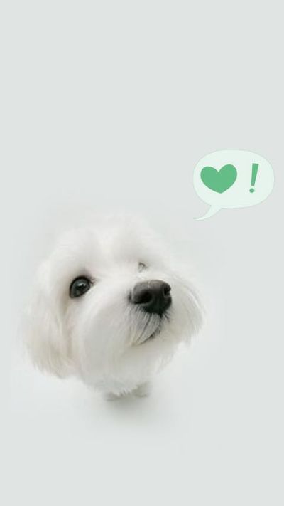 装门师傅