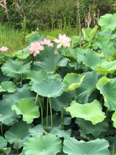 木工