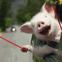 电焊水电家装