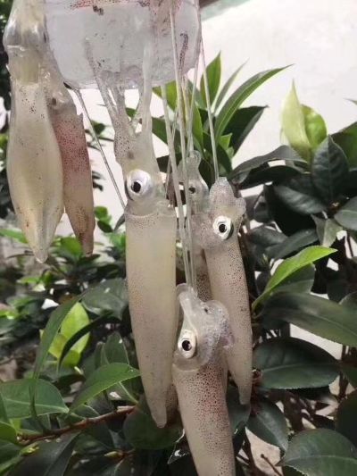 衣柜安装
