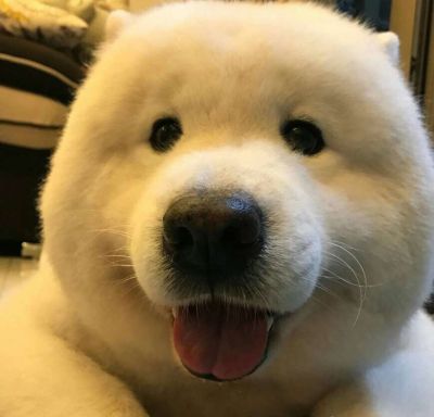 玻璃安装玻璃安装