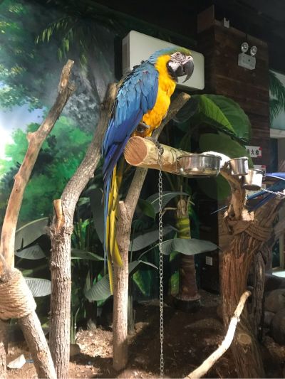 计算机网络电脑维修网络水龙头维修灯具维修