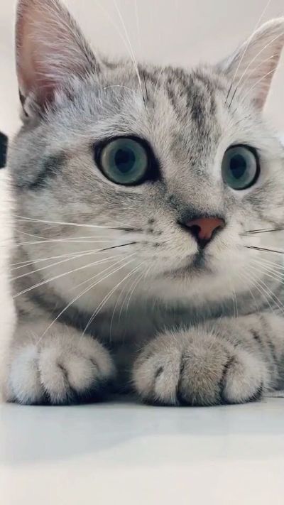 安装工