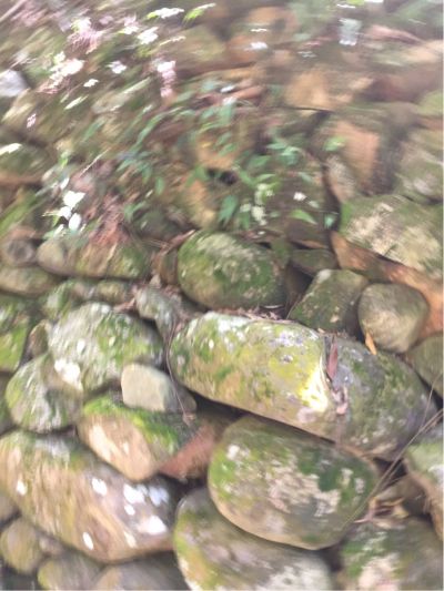 电工