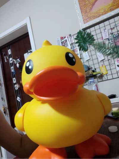 净水水电维修