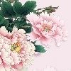 会计