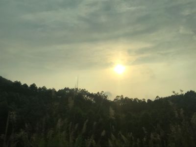广告装饰