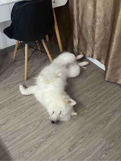 无