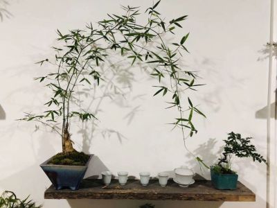 通讯