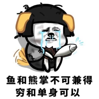 搬家搬家搬家，小工