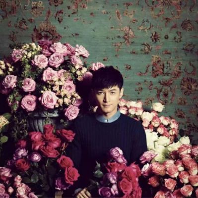 专业家电清洗