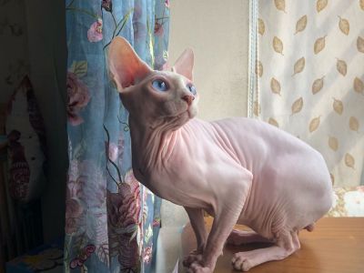 医疗