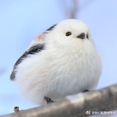 无