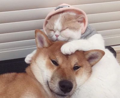 纹身