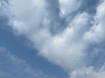 电气机械