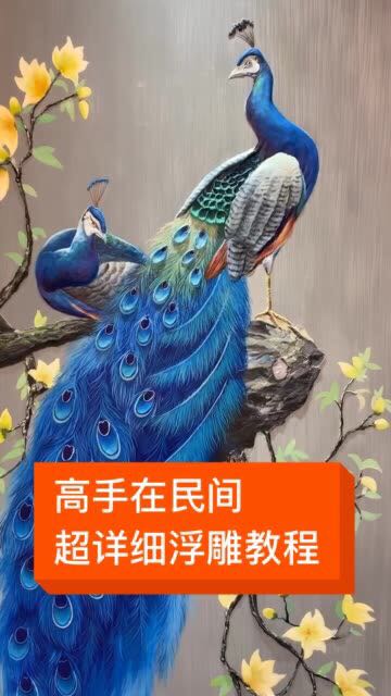 安画的
