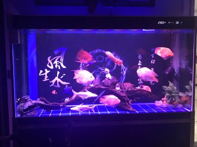 无